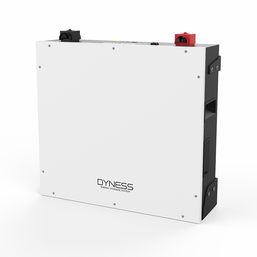 Dyness BX51100